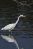 DSCN1068.jpg