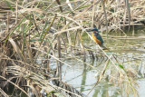 DSC01979.jpg