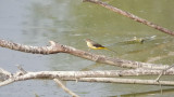 DSCN1455.jpg