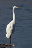 DSCN2584.jpg