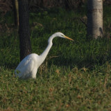 DSCN2639.jpg