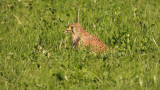 DSCN2835.jpg