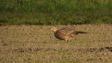 DSCN2854.jpg