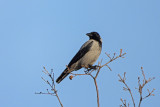 DSCN3085.jpg