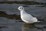 DSCN3165.jpg