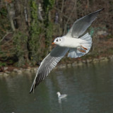 DSC03306.jpg