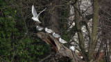 DSC03210.jpg