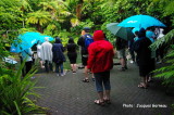 Rainbow Springs Nature Park, Rotorua, N.-Z. - IMGP9858.JPG