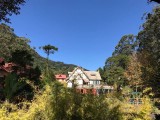 IMG-20170513-WA0041.jpg