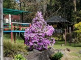 IMG-20170617-WA0022.jpg