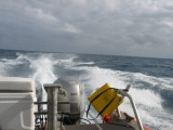 IMG_4115.JPG