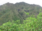 IMG_4147.JPG