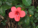 IMG_4151.JPG