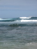 IMG_4154.JPG
