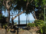 IMG_4179.JPG