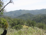 IMG_4186.JPG