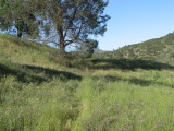 IMG_4188.JPG