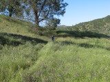 IMG_4189.JPG