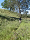 IMG_4193.JPG