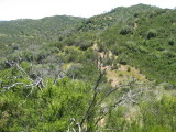 IMG_4202.JPG