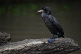 DSC_9869.jpg