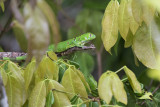 DSC_2634.jpg