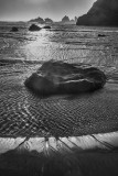 DSC_0511.jpg