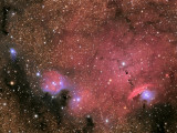 NGC6559 Region