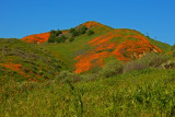 DSCN2011.jpg