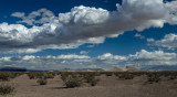 DSC_3160a.jpg