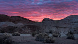 DSC_2540a.jpg