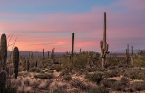 DSC_4675a.jpg