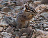 DSC_5824a.jpg