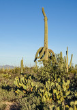 DSC_3288a.jpg