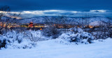 DSC_2576a.jpg