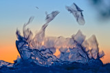 DSC_2747a.jpg