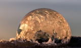 DSC_1584a.jpg