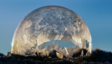 DSC_1793a.jpg
