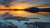 DSC_3776a.jpg