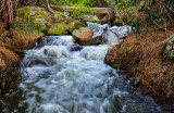DSC_6703aC.jpg