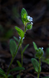 DSC_6851a.jpg