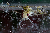 DSC_6956a.jpg