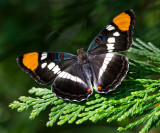 DSC_0303a.jpg