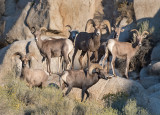 DSC_2174a.jpg