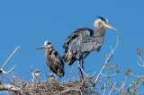 DSC_5192a.jpg