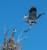 DSC_7849a.jpg