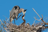 DSC_8513a.jpg