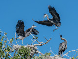 DSC_8398a.jpg