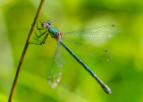 DSC_3340a.jpg