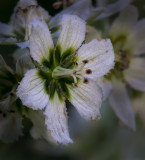 DSC_3840a.jpg